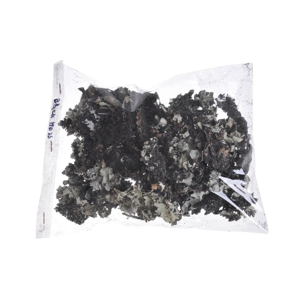 Black moss-paczka 0,05kg
