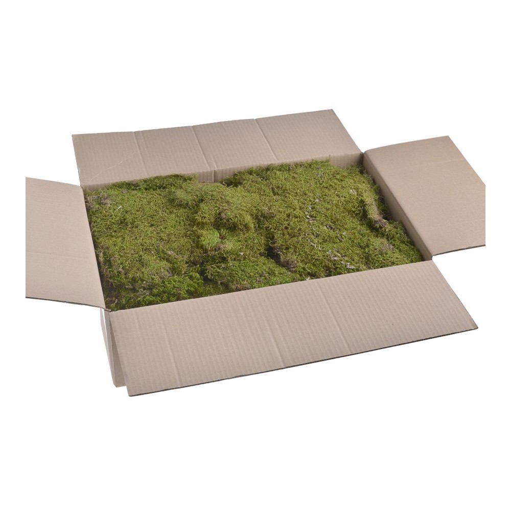 Flat moss 2kg