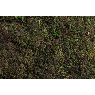 Mech stabilizowany Flat moss..5 kg